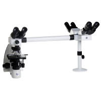 Kính hiển vi ba người quan sát kết nối máy tính phóng đại 1000 lần Euromex - Hà Lan OX.5603