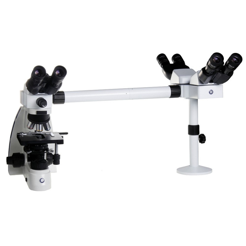 Kính hiển vi ba người quan sát kết nối máy tính phóng đại 1000 lần Euromex - Hà Lan OX.5603