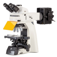 Kính hiển vi huỳnh quang soi cấu trúc tế bào 1000x Euromex - Hà Lan DX.3153‑PLi