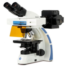 Kính hiển vi 2 mắt huỳnh quang 1000 lần Euromex - Hà Lan OX.3080