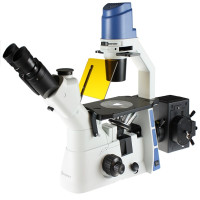 Kính hiển vi soi ngược đo huỳnh quang 2 mắt phóng đại 400 lần Euromex - Hà Lan OX.2253-PLF