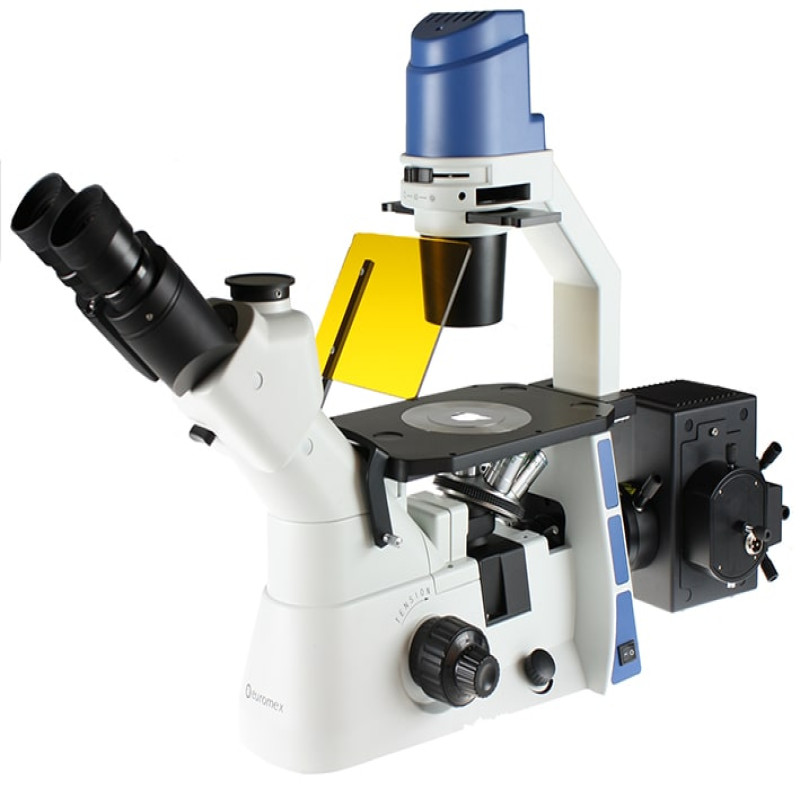 Kính hiển vi soi ngược đo huỳnh quang 2 mắt phóng đại 400 lần Euromex - Hà Lan OX.2253-PLF