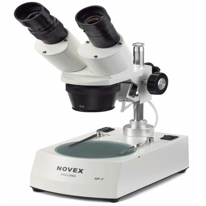 Kính hiển vi soi nổi 2 mắt phóng đại 20 hoặc 40 lần Euromex - Hà Lan AP-8 đèn Halogen
