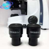 Thị kính EW10X 20 Euromex Hà Lan