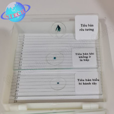 Tiêu bản mẫu cho kính hiển vi