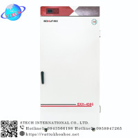 Tủ sấy tiệt trùng để bàn 452 lít Boxun BXH-450G