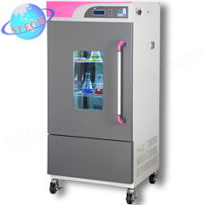 Tủ ấm lạnh 4 – 65oC, 160 lít Labwit ZXSD-B1160